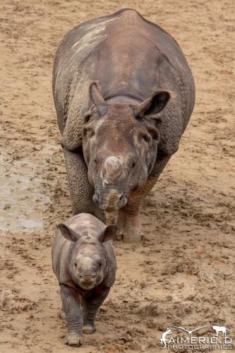 272689438_4739107706138708_2561589600686260039_n