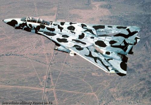 271945123_3120070158265322_6351927555464458386_n