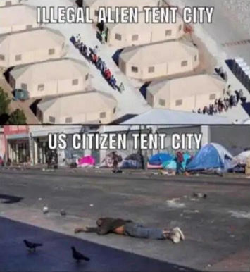 illegal immigration269