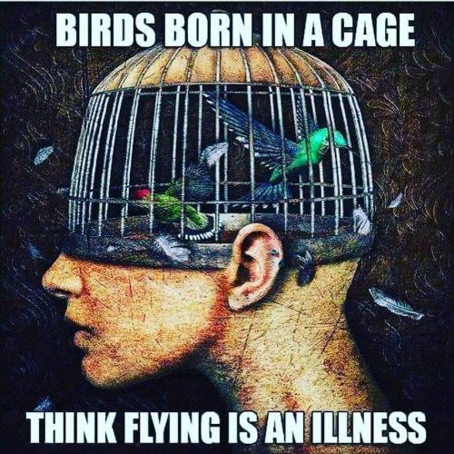 16:53:57 GMT-0600 (CST)