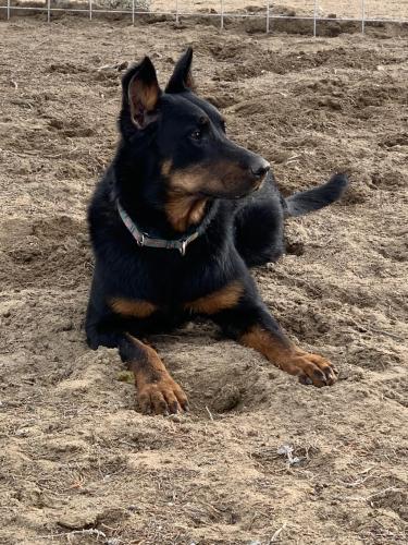 16:50:07 GMT-0800 (PST).image