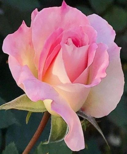 09:37:53 GMT-0600 (CST)