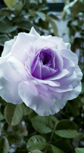 20:15:05 GMT-0600 (CST)