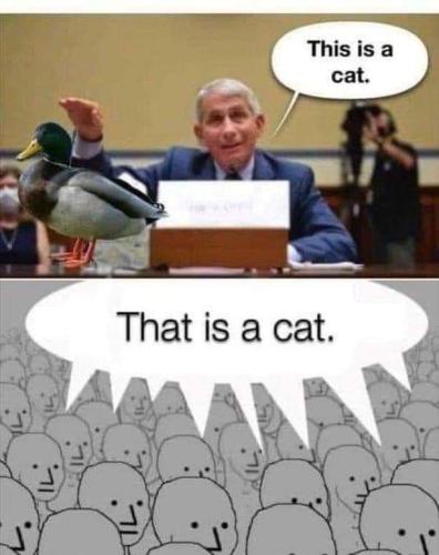 FB_IMG_1642057607283