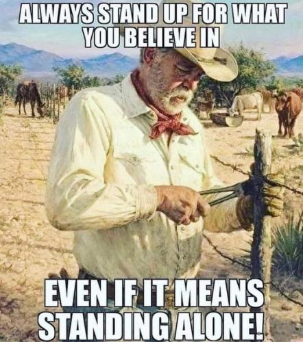 271010822_4917672844945408_6757712028365337580_n