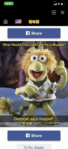 13:05:16 GMT-0500 (EST).image