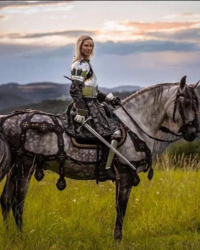 60942a46f0cdc587ddad366ca1808785