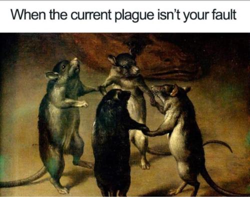 FB_IMG_1642280671995