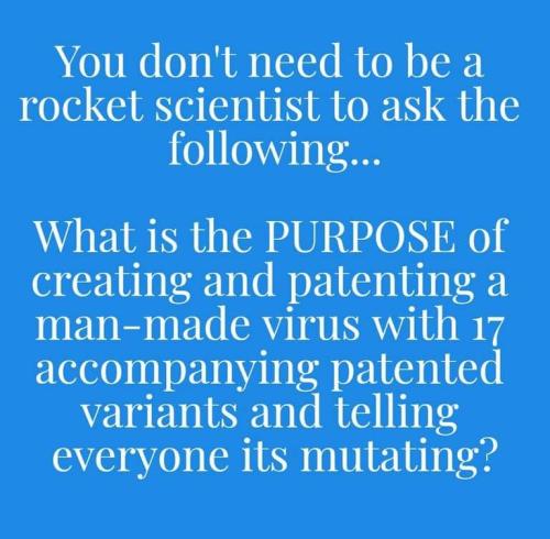 FB_IMG_1641687645824