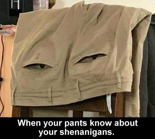 PANTS
