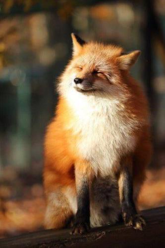 tumblr_07a11d53a53ca2cde7062dad3a922e99_f329d1db_500