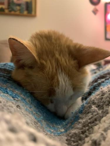 6E1E68D9-FB10-4317-9A5C-0271205601DE