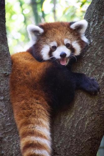 271893141_1743355589197117_6506669748472139498_n