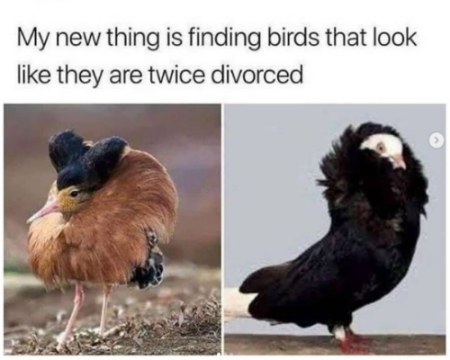chrome-capture - 2022-01-04T190533.861