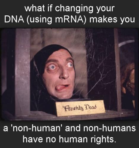 mRNA00