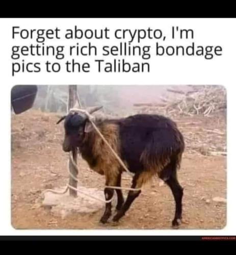 FB_IMG_1641746757769