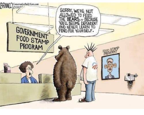 271204490_616965699511002_5739712135368312971_n