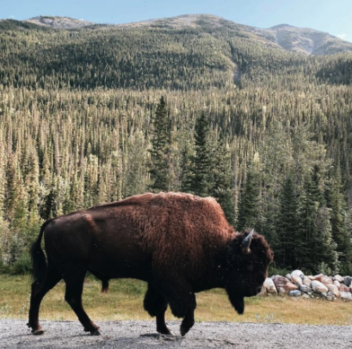 tumblr_e4dae6f4918cd6312e359cccf32e7a8b_c9094fb0_540