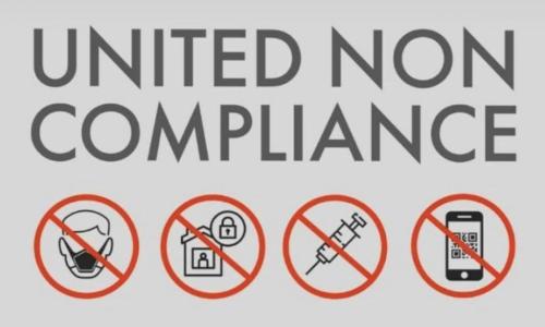 photo_2022-01-08_01-13-10