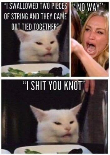 FB_IMG_1641873436077