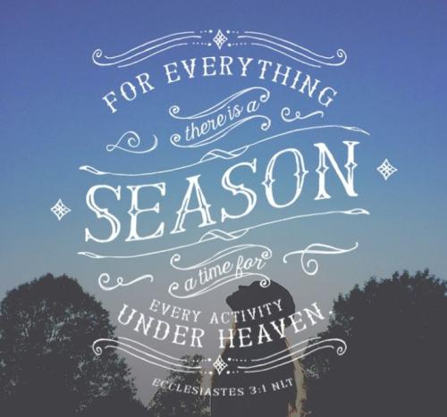 Screenshot_20220126-064856_DuckDuckGo