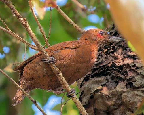 272057265_4949411121768652_200643891383730567_n