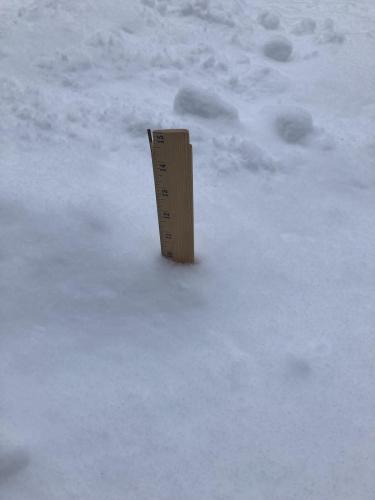 8C71172C-5A0D-4B84-A9F9-19AC9FE85948