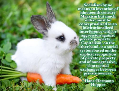 38194141_1854374114611632_1627493198718828544_n