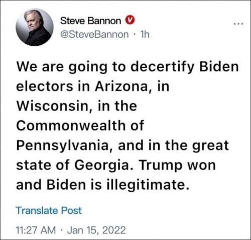 voterfraud263