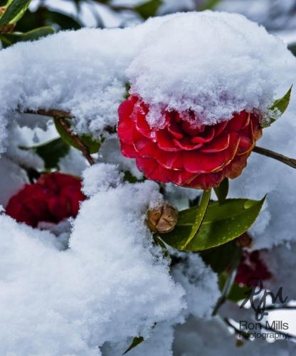 19:26:40 GMT-0600 (CST)