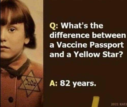 FB_IMG_1643236497904