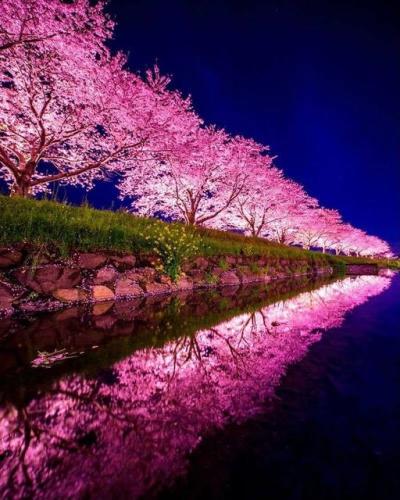 ,                                                                                                                                                                                                                          0..