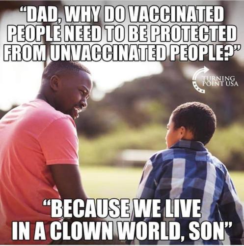 FB_IMG_1642016314614