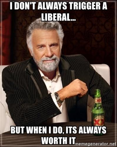 i-dont-always-trigger-a-liberal-but-when-i-do-its-always-worth-it