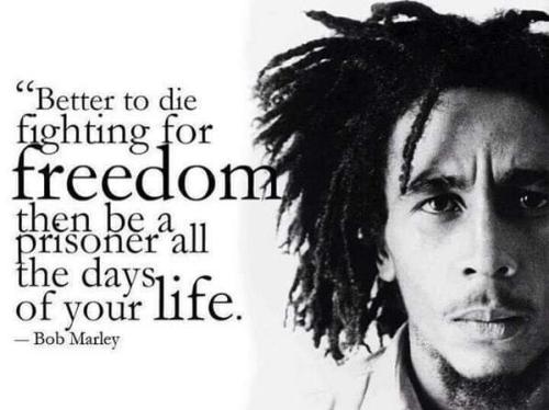 12:07:50 GMT-0700 (MST)