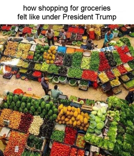 ztrump283
