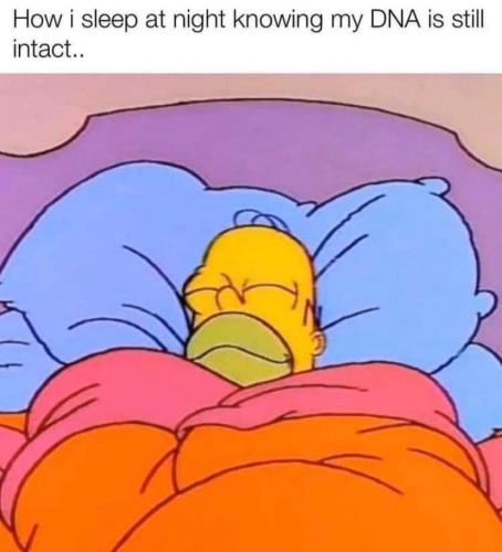 272698676_443063657518736_6582665855441210085_n