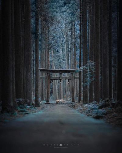 271187971_1312400572610284_8920372520798803829_n