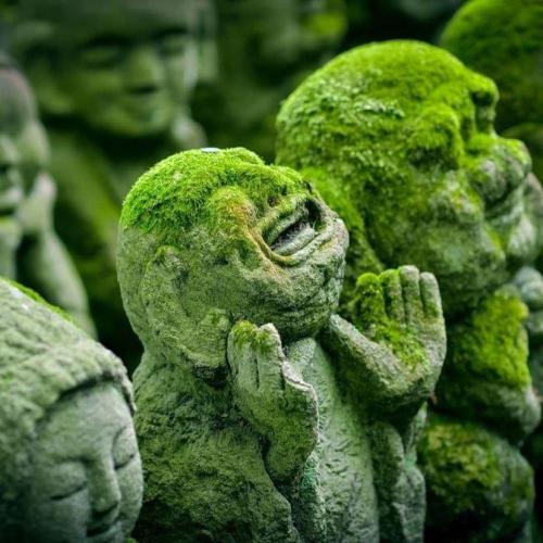 272115558_479034410259233_1144858356764081020_n