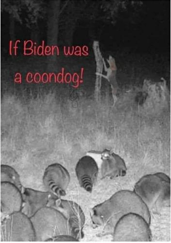 Screenshot_20220116-092326