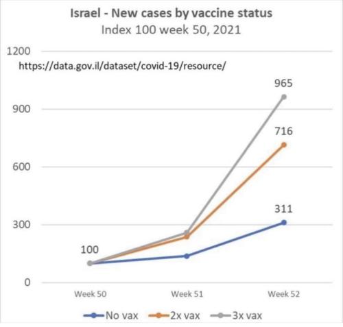 photo_2022-01-11_00-00-44