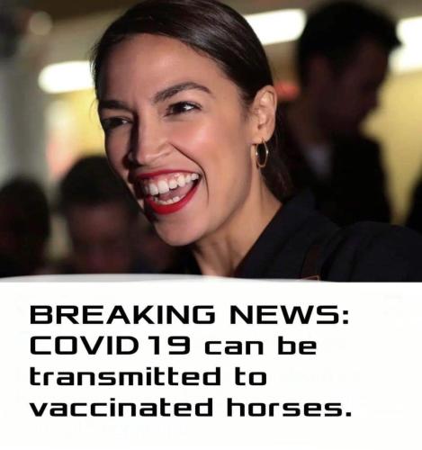 Horses and donkeys too! She fits both😂😂😂