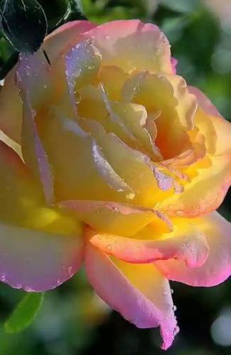 20:10:58 GMT-0600 (CST)