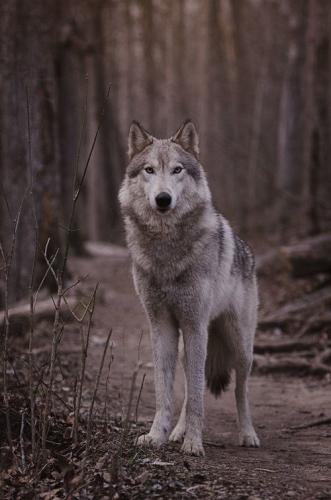 e0beb81602642e955d58b6a27dafc021