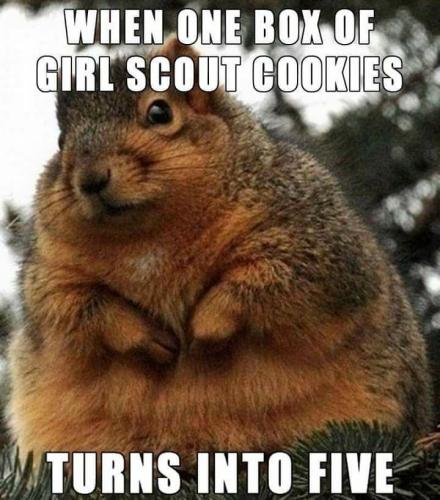 329285-When-One-Box-Of-Girl-Scout-Cookies-Turns-Into-Five