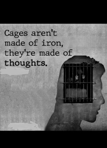 FB_IMG_1641907996553