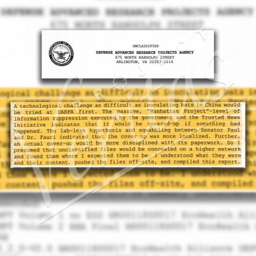 19:47:48 GMT-0600 (CST)