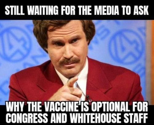 FB_IMG_1641084794845