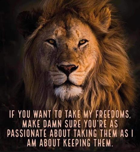 FB_IMG_1635781362613