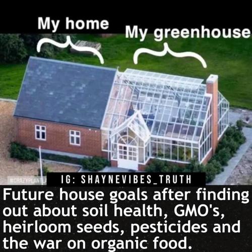 photo_2022-01-10_21-31-59